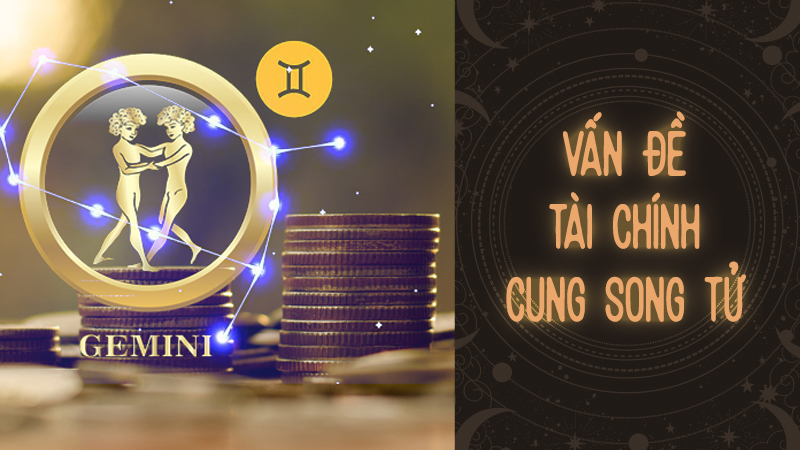 TỬ VI CUNG SONG TỬ NĂM 2023 DỰ ĐOÁN VỀ TÌNH HÌNH TÀI CHÍNH